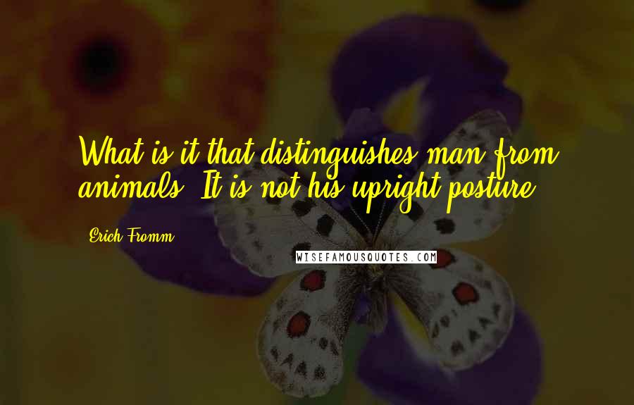 Erich Fromm Quotes: What is it that distinguishes man from animals? It is not his upright posture.