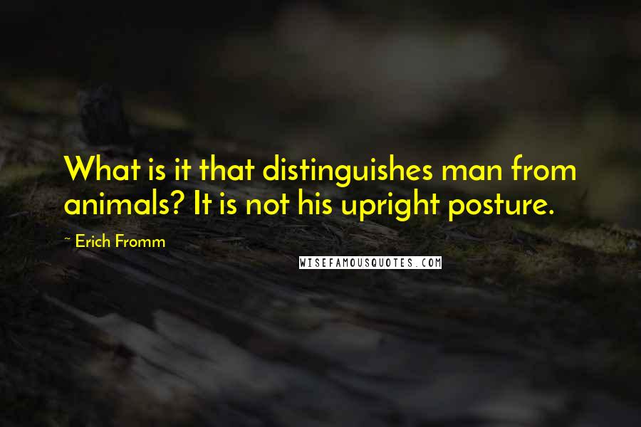 Erich Fromm Quotes: What is it that distinguishes man from animals? It is not his upright posture.