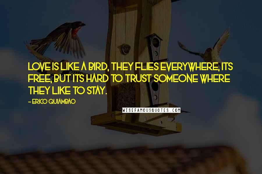 Erico Quiambao Quotes: Love is like a bird, they flies everywhere, its free, but its hard to trust someone where they like to stay.