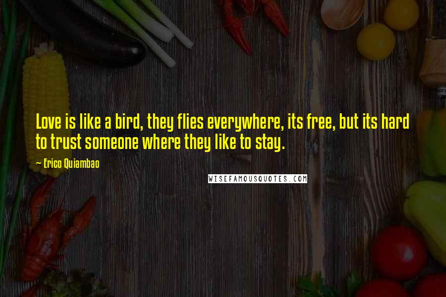 Erico Quiambao Quotes: Love is like a bird, they flies everywhere, its free, but its hard to trust someone where they like to stay.