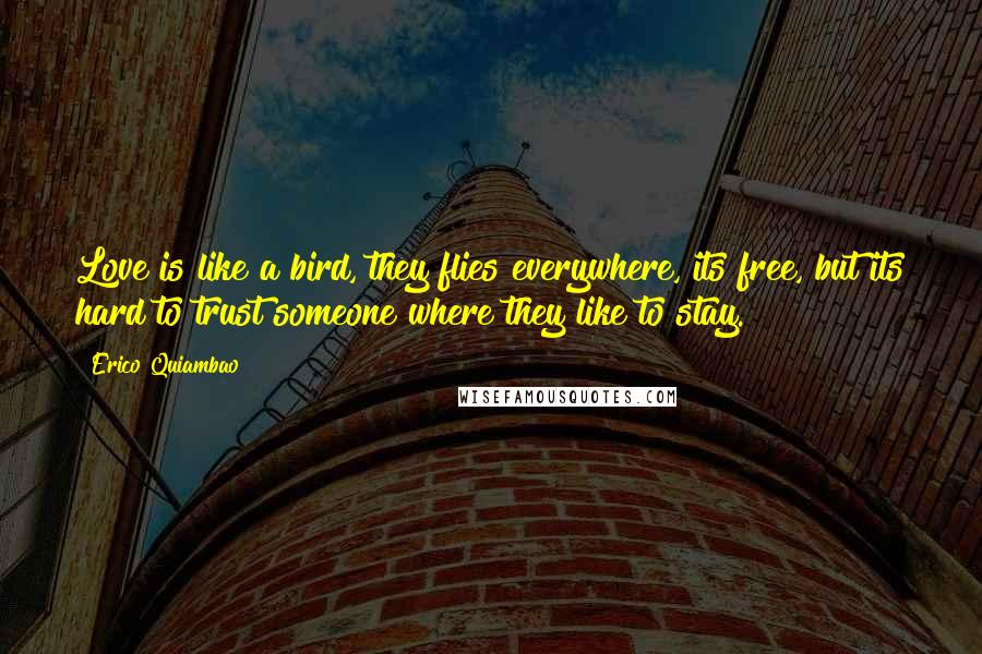 Erico Quiambao Quotes: Love is like a bird, they flies everywhere, its free, but its hard to trust someone where they like to stay.