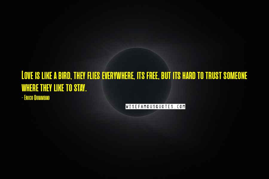 Erico Quiambao Quotes: Love is like a bird, they flies everywhere, its free, but its hard to trust someone where they like to stay.