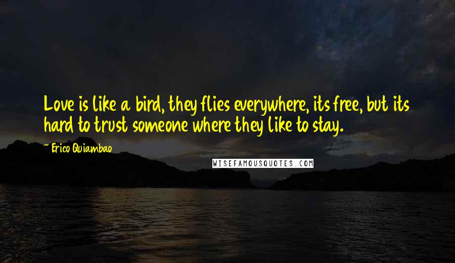 Erico Quiambao Quotes: Love is like a bird, they flies everywhere, its free, but its hard to trust someone where they like to stay.