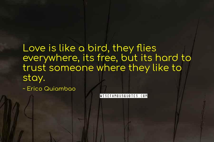 Erico Quiambao Quotes: Love is like a bird, they flies everywhere, its free, but its hard to trust someone where they like to stay.