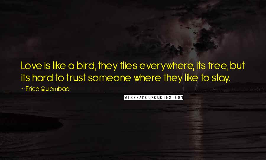 Erico Quiambao Quotes: Love is like a bird, they flies everywhere, its free, but its hard to trust someone where they like to stay.