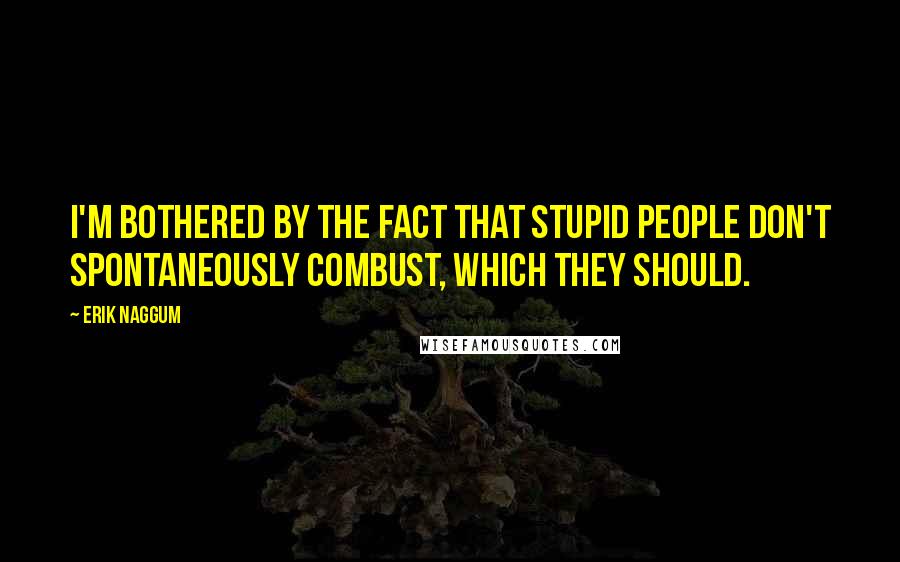 Erik Naggum Quotes: I'm bothered by the fact that stupid people don't spontaneously combust, which they should.