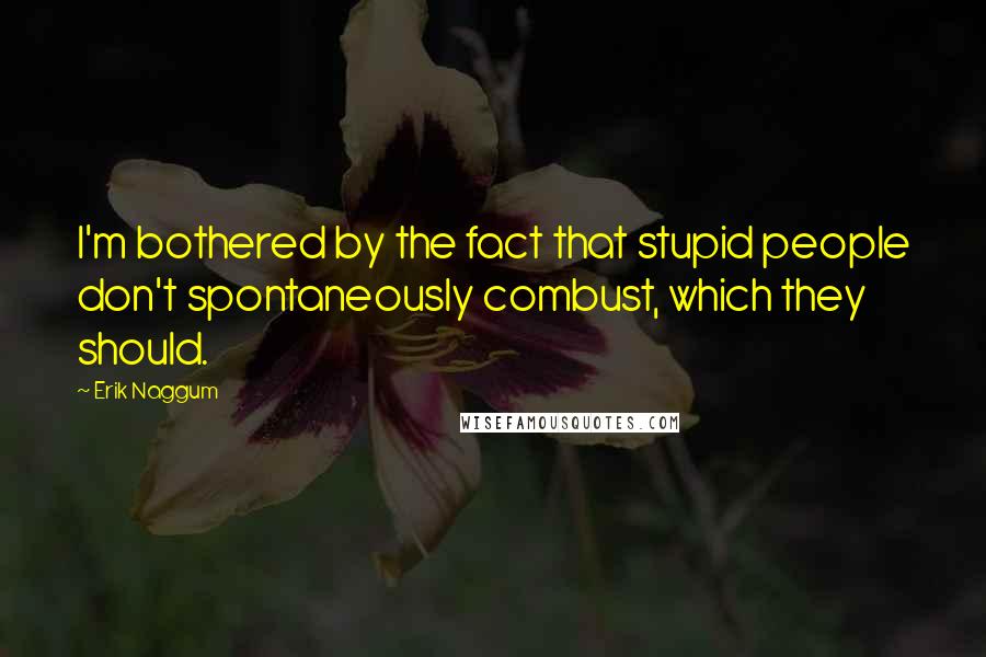 Erik Naggum Quotes: I'm bothered by the fact that stupid people don't spontaneously combust, which they should.