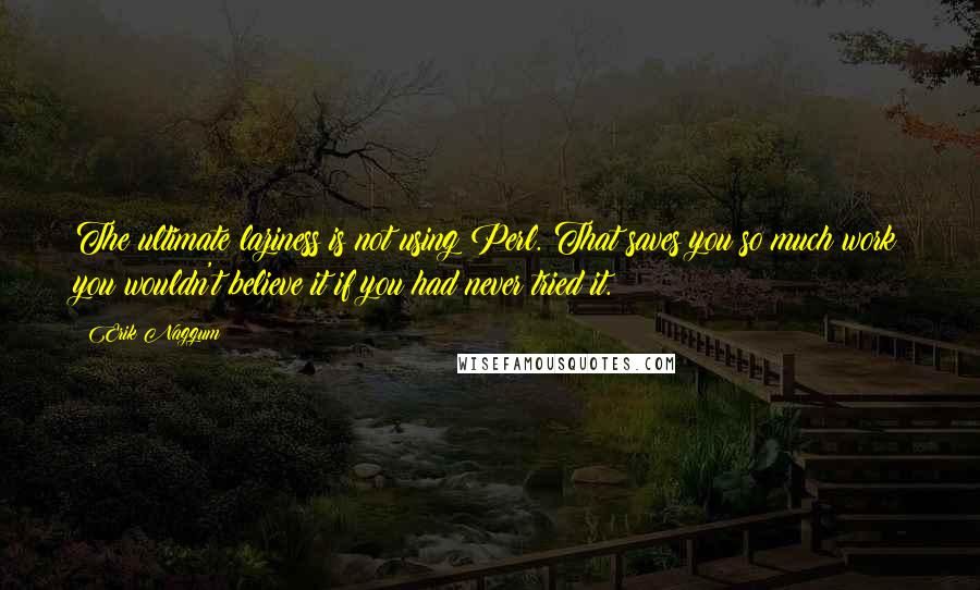 Erik Naggum Quotes: The ultimate laziness is not using Perl. That saves you so much work you wouldn't believe it if you had never tried it.