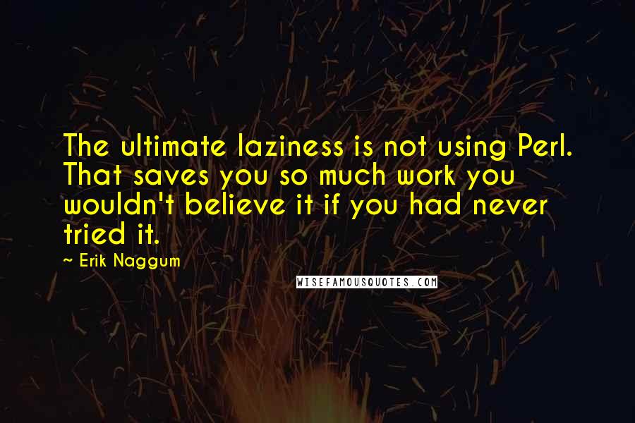 Erik Naggum Quotes: The ultimate laziness is not using Perl. That saves you so much work you wouldn't believe it if you had never tried it.