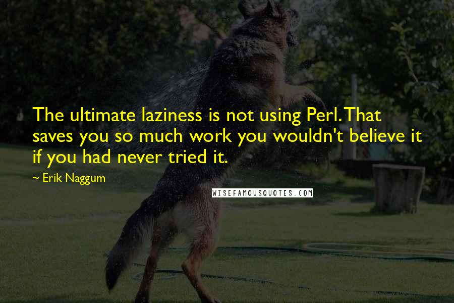 Erik Naggum Quotes: The ultimate laziness is not using Perl. That saves you so much work you wouldn't believe it if you had never tried it.