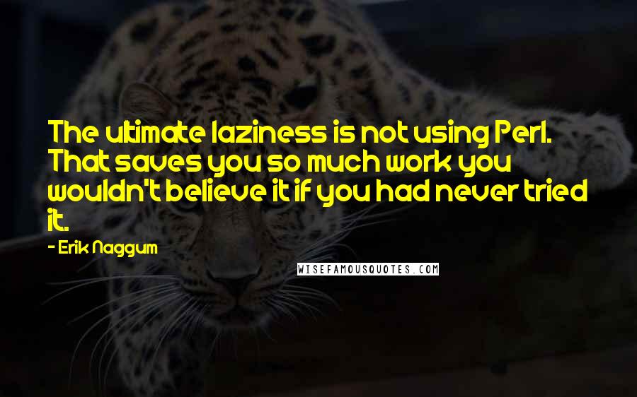 Erik Naggum Quotes: The ultimate laziness is not using Perl. That saves you so much work you wouldn't believe it if you had never tried it.