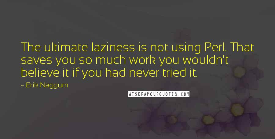 Erik Naggum Quotes: The ultimate laziness is not using Perl. That saves you so much work you wouldn't believe it if you had never tried it.