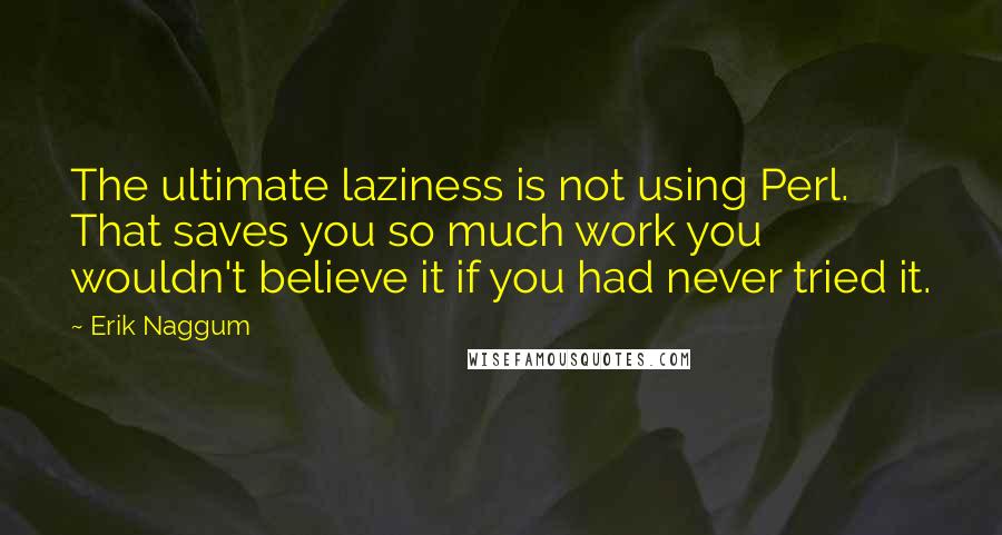 Erik Naggum Quotes: The ultimate laziness is not using Perl. That saves you so much work you wouldn't believe it if you had never tried it.