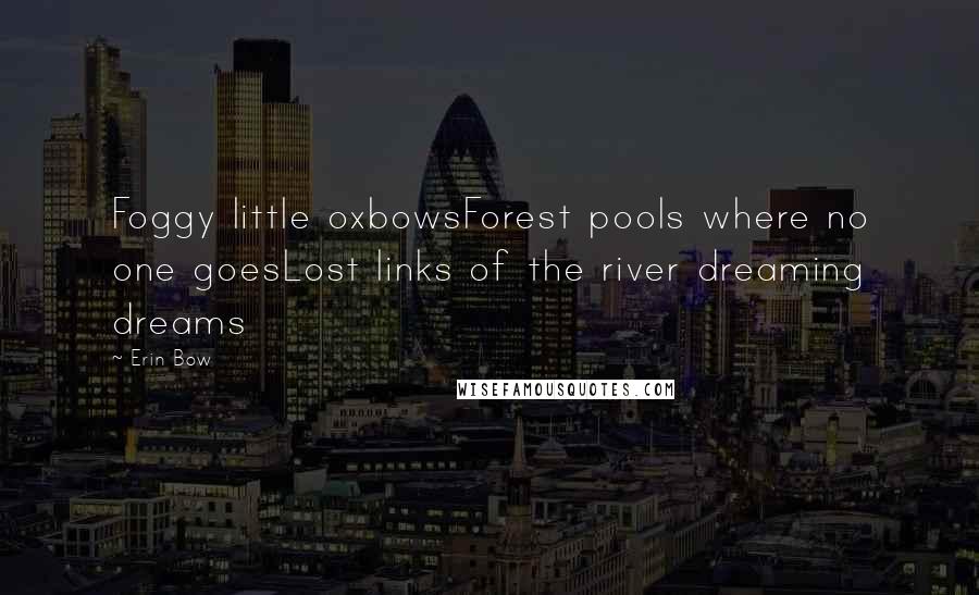 Erin Bow Quotes: Foggy little oxbowsForest pools where no one goesLost links of the river dreaming dreams