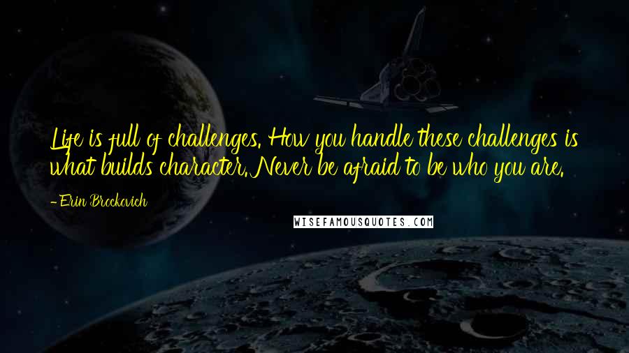 Erin Brockovich Quotes: Life is full of challenges. How you handle these challenges is what builds character. Never be afraid to be who you are.