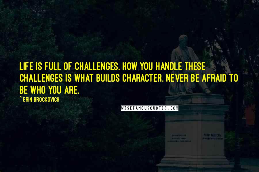 Erin Brockovich Quotes: Life is full of challenges. How you handle these challenges is what builds character. Never be afraid to be who you are.