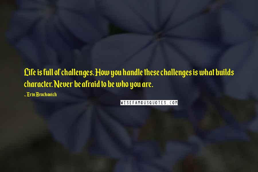 Erin Brockovich Quotes: Life is full of challenges. How you handle these challenges is what builds character. Never be afraid to be who you are.