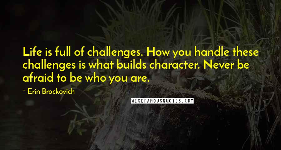 Erin Brockovich Quotes: Life is full of challenges. How you handle these challenges is what builds character. Never be afraid to be who you are.