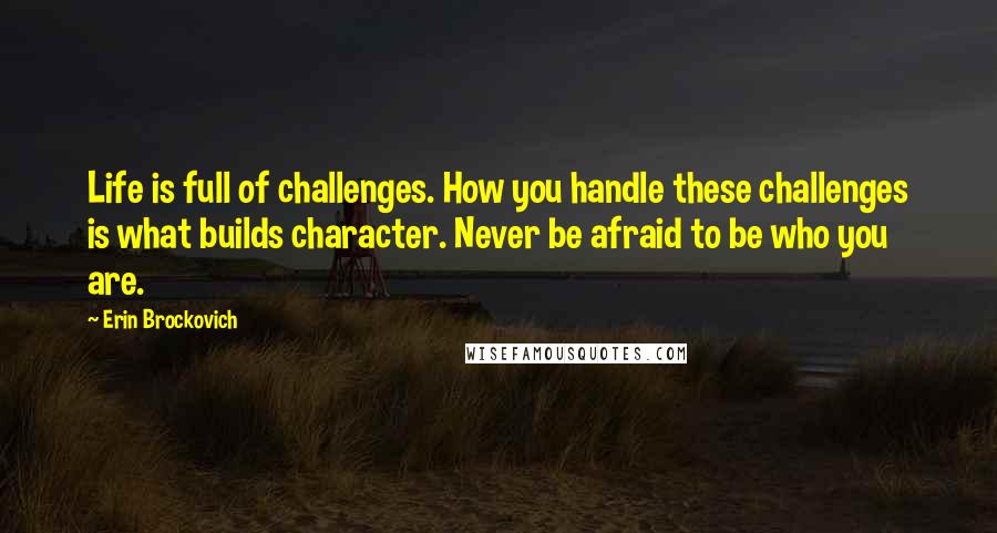 Erin Brockovich Quotes: Life is full of challenges. How you handle these challenges is what builds character. Never be afraid to be who you are.