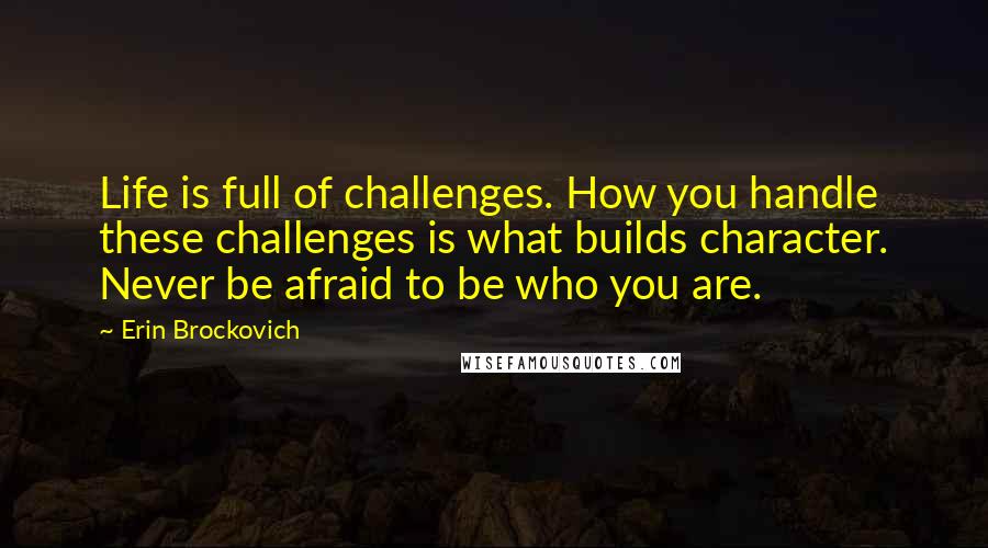 Erin Brockovich Quotes: Life is full of challenges. How you handle these challenges is what builds character. Never be afraid to be who you are.