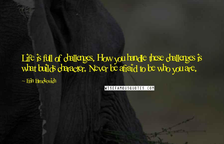 Erin Brockovich Quotes: Life is full of challenges. How you handle these challenges is what builds character. Never be afraid to be who you are.