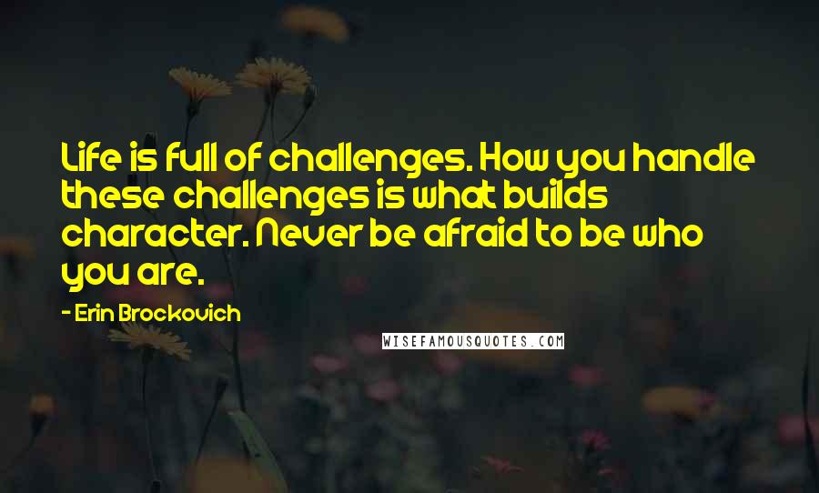 Erin Brockovich Quotes: Life is full of challenges. How you handle these challenges is what builds character. Never be afraid to be who you are.