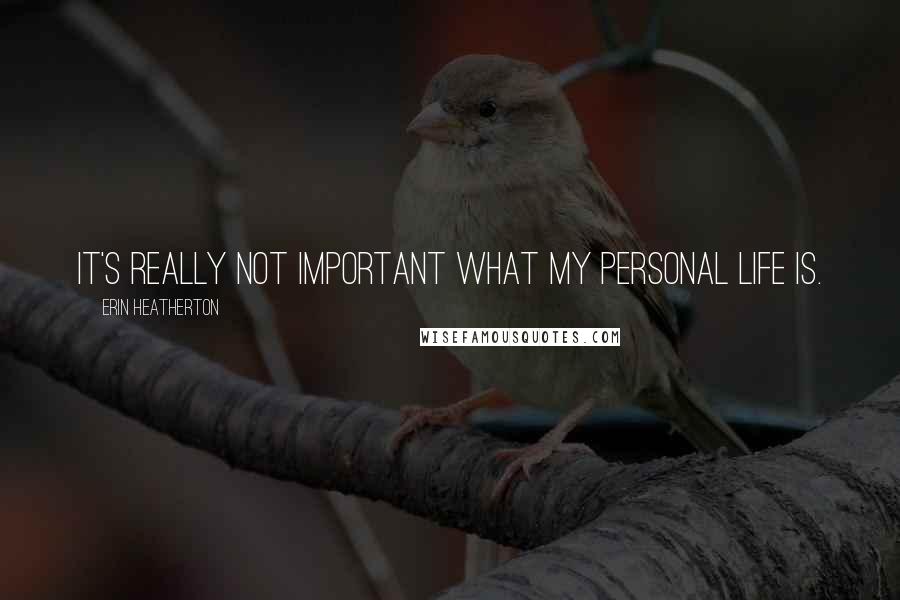 Erin Heatherton Quotes: It's really not important what my personal life is.