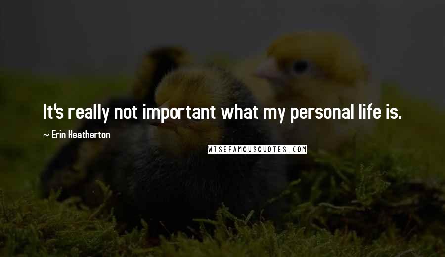 Erin Heatherton Quotes: It's really not important what my personal life is.