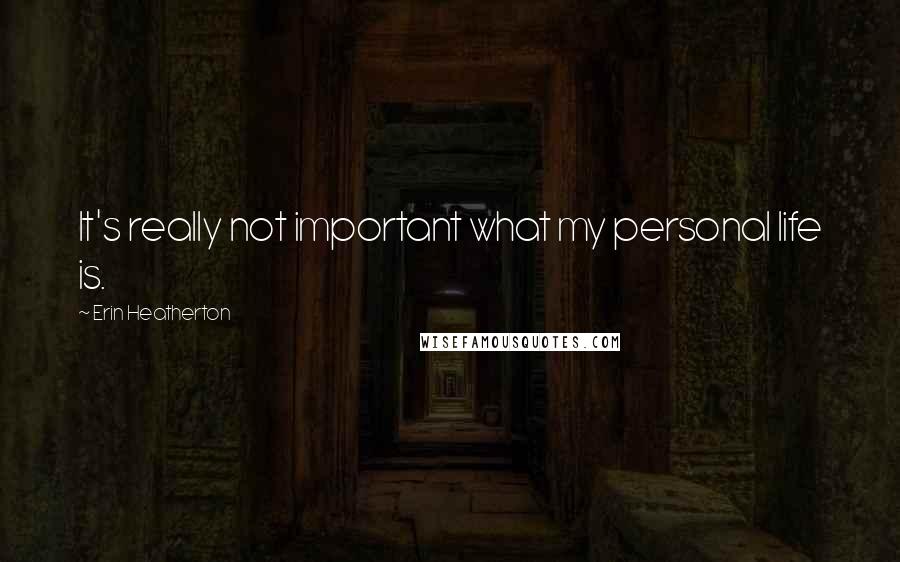 Erin Heatherton Quotes: It's really not important what my personal life is.
