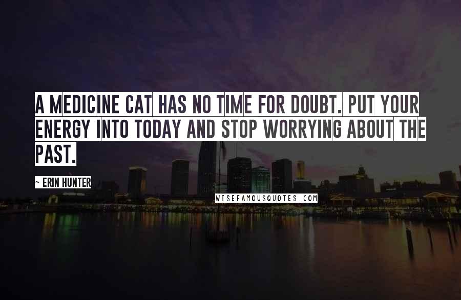 Erin Hunter Quotes: A medicine cat has no time for doubt. Put your energy into today and stop worrying about the past.