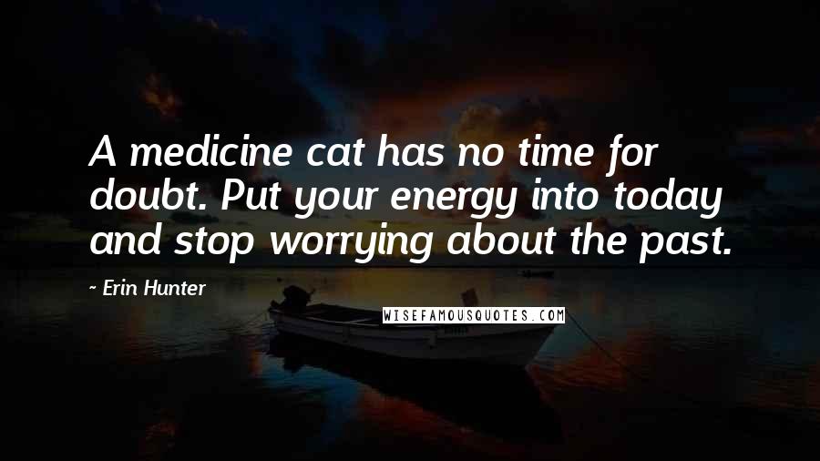 Erin Hunter Quotes: A medicine cat has no time for doubt. Put your energy into today and stop worrying about the past.