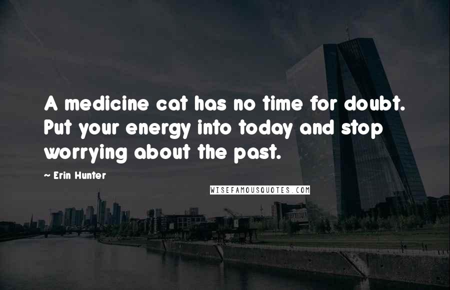 Erin Hunter Quotes: A medicine cat has no time for doubt. Put your energy into today and stop worrying about the past.