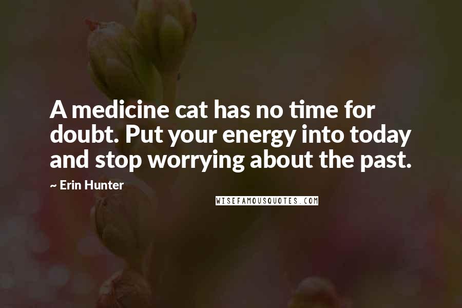 Erin Hunter Quotes: A medicine cat has no time for doubt. Put your energy into today and stop worrying about the past.