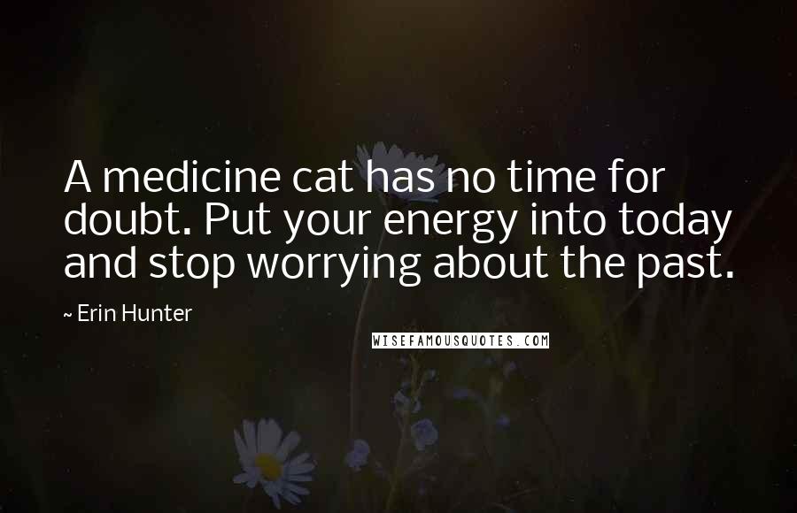Erin Hunter Quotes: A medicine cat has no time for doubt. Put your energy into today and stop worrying about the past.