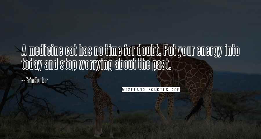 Erin Hunter Quotes: A medicine cat has no time for doubt. Put your energy into today and stop worrying about the past.