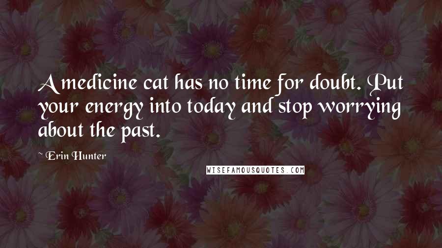 Erin Hunter Quotes: A medicine cat has no time for doubt. Put your energy into today and stop worrying about the past.