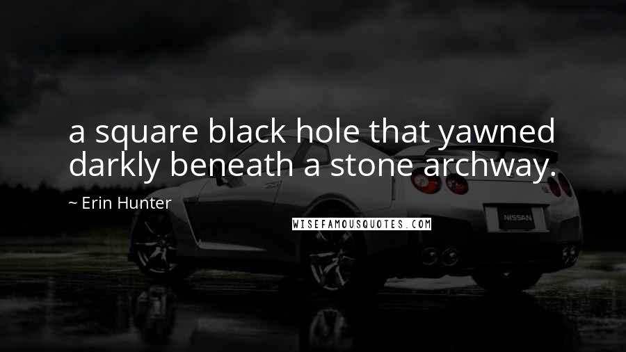 Erin Hunter Quotes: a square black hole that yawned darkly beneath a stone archway.