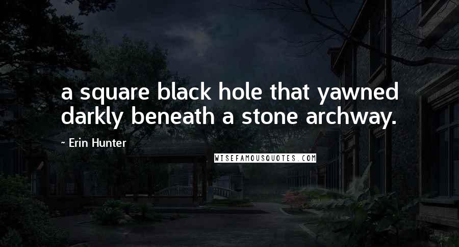 Erin Hunter Quotes: a square black hole that yawned darkly beneath a stone archway.