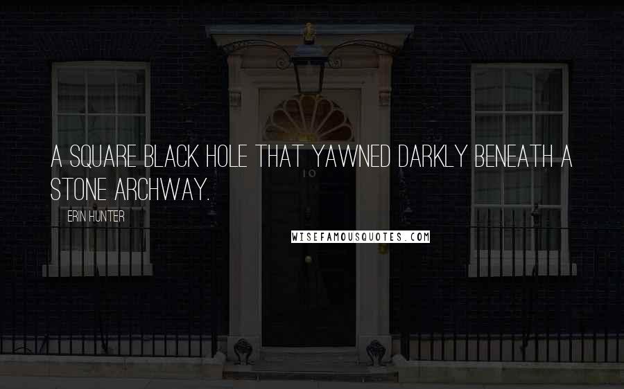 Erin Hunter Quotes: a square black hole that yawned darkly beneath a stone archway.