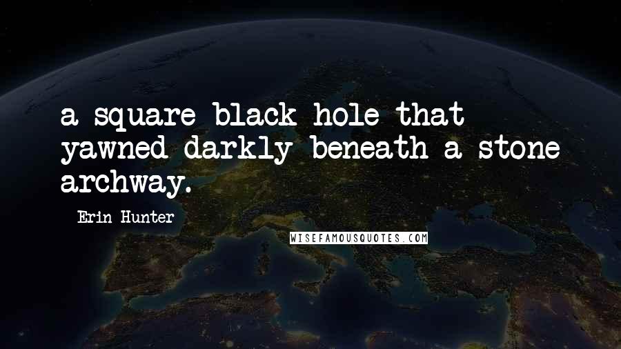Erin Hunter Quotes: a square black hole that yawned darkly beneath a stone archway.