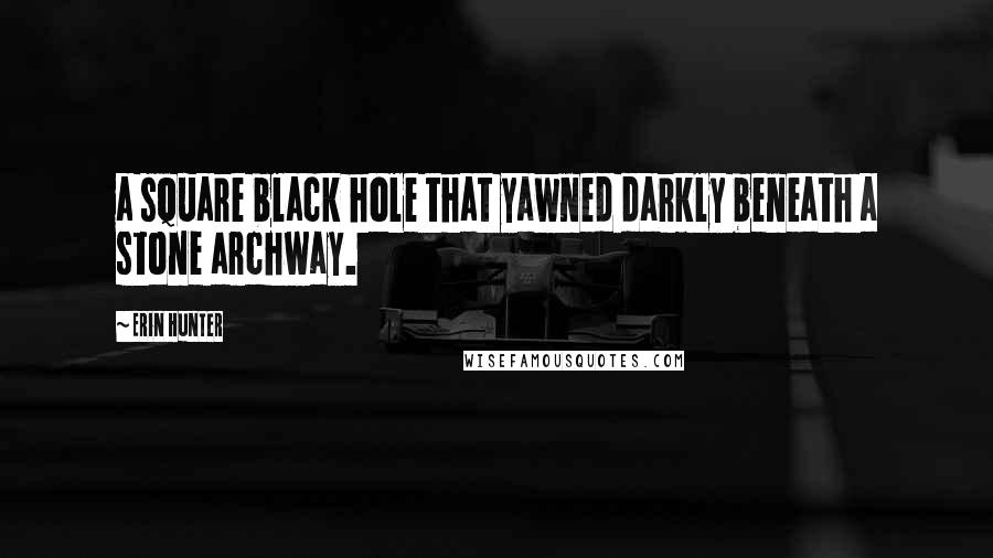 Erin Hunter Quotes: a square black hole that yawned darkly beneath a stone archway.