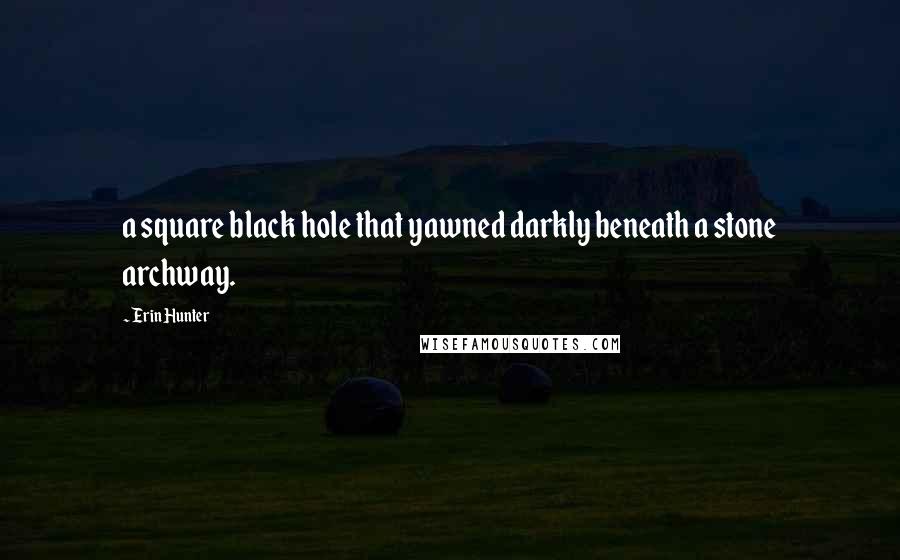 Erin Hunter Quotes: a square black hole that yawned darkly beneath a stone archway.