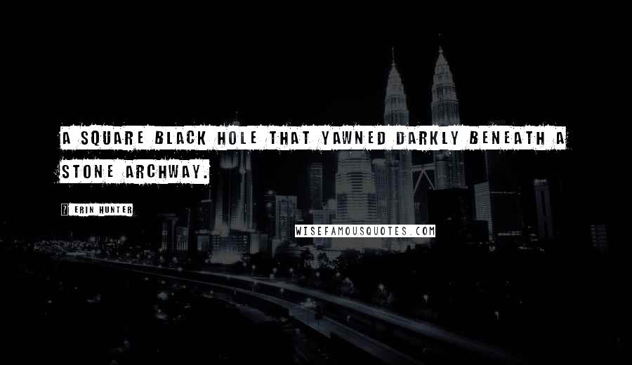 Erin Hunter Quotes: a square black hole that yawned darkly beneath a stone archway.