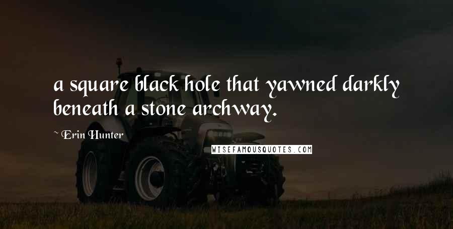 Erin Hunter Quotes: a square black hole that yawned darkly beneath a stone archway.
