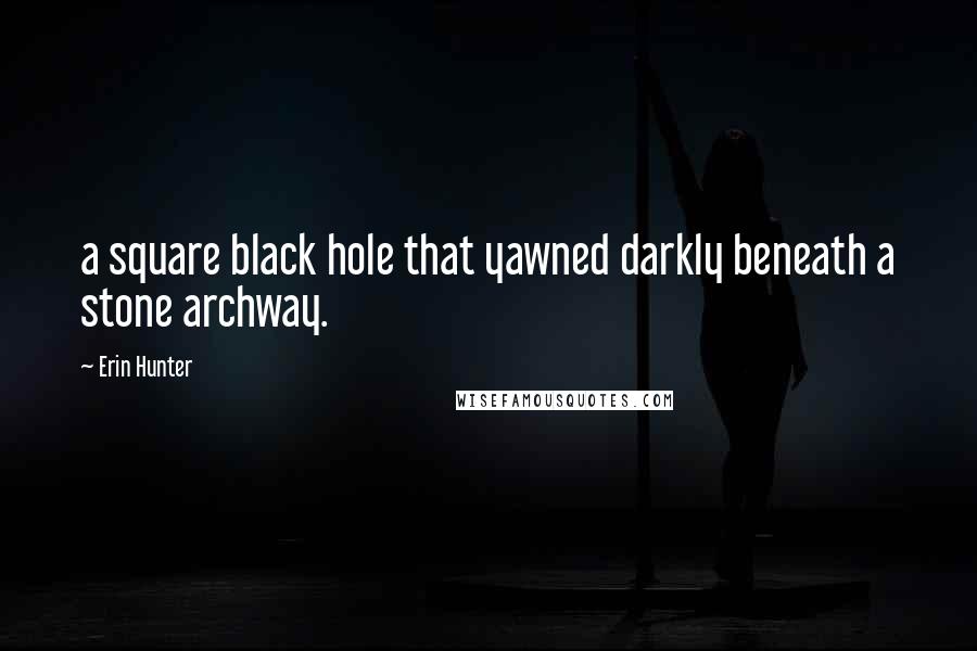 Erin Hunter Quotes: a square black hole that yawned darkly beneath a stone archway.