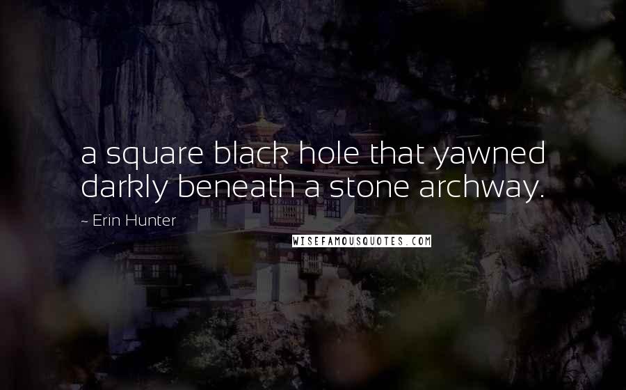 Erin Hunter Quotes: a square black hole that yawned darkly beneath a stone archway.