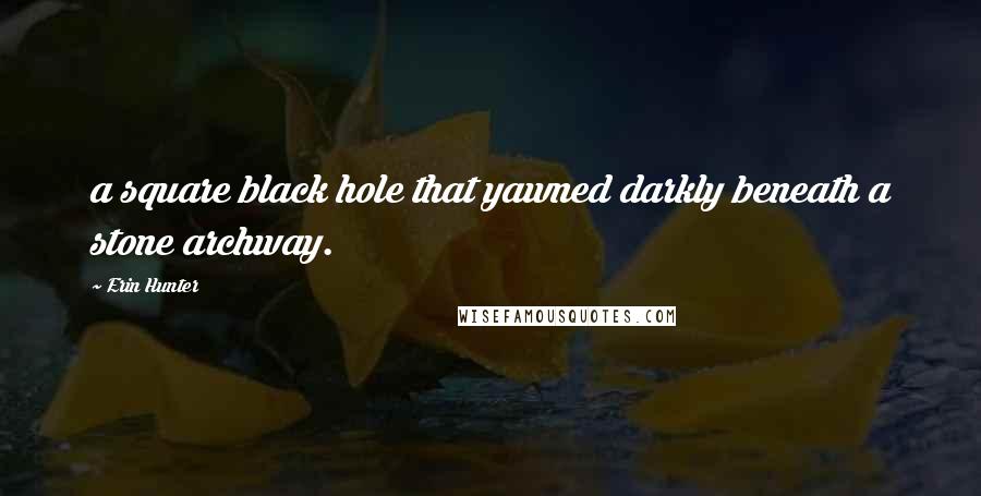 Erin Hunter Quotes: a square black hole that yawned darkly beneath a stone archway.