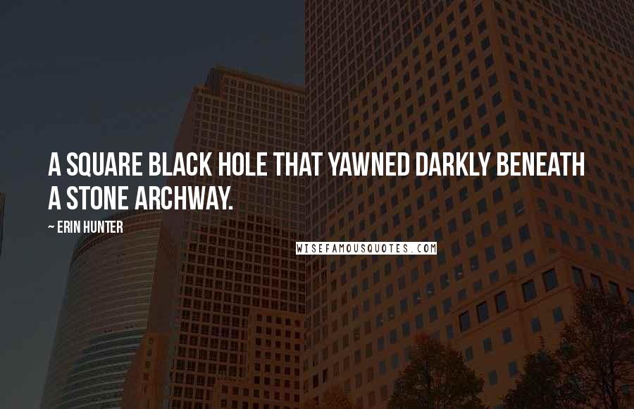 Erin Hunter Quotes: a square black hole that yawned darkly beneath a stone archway.