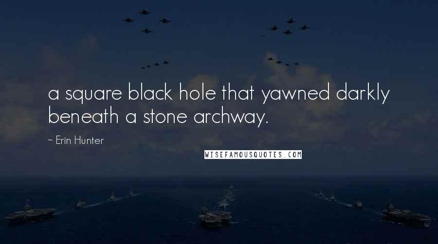 Erin Hunter Quotes: a square black hole that yawned darkly beneath a stone archway.