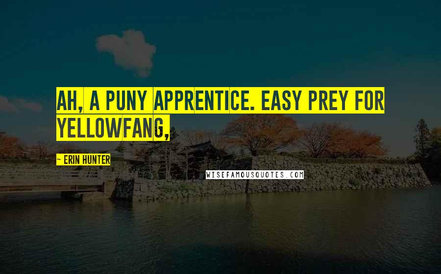 Erin Hunter Quotes: Ah, a puny apprentice. Easy prey for Yellowfang,